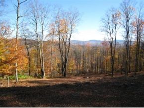 1240 Wade Pasture Road Stowe, VT 05672 - Photo 13 of 19 Gallery Image 13