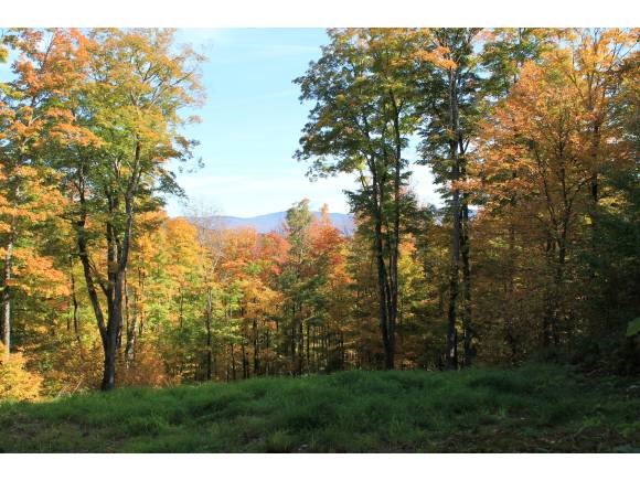 1240 Wade Pasture Road Stowe, VT 05672 - Photo 16 of 19 Gallery Image 16