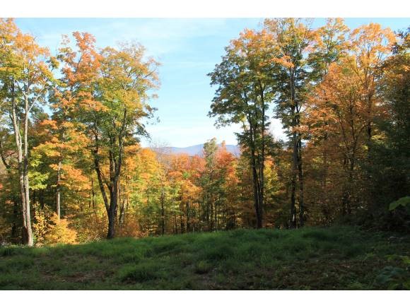 1240 Wade Pasture Road Stowe, VT 05672 - Photo 17 of 19 Gallery Image 17