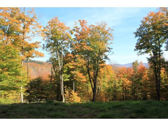 1240 Wade Pasture Road Stowe, VT 05672 - Photo 19 of 19 Gallery Image 19