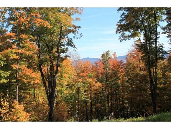 1240 Wade Pasture Road Stowe, VT 05672 - Photo 4 of 19 Gallery Image 4