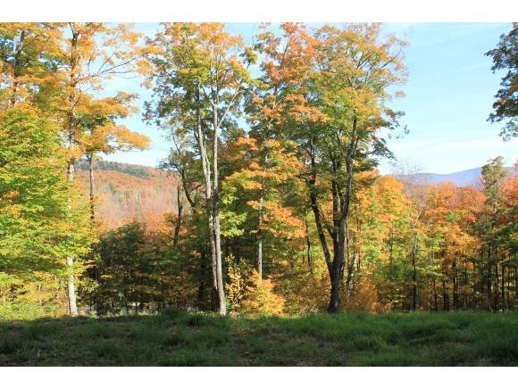 1240 Wade Pasture Road Stowe, VT 05672 - Photo 5 of 19 Gallery Image 5
