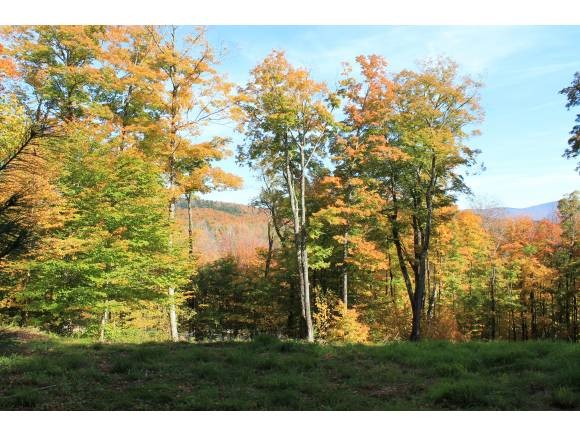 1240 Wade Pasture Road Stowe, VT 05672 - Photo 6 of 19 Gallery Image 6