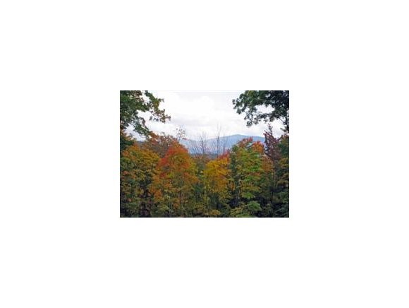 1240 Wade Pasture Road Stowe, VT 05672 - Photo 7 of 19 Gallery Image 7