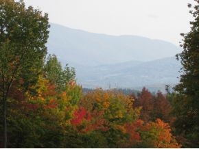 1240 Wade Pasture Road Stowe, VT 05672 - Photo 8 of 19 Gallery Image 8