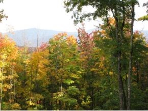 1240 Wade Pasture Road Stowe, VT 05672 - Photo 9 of 19 Gallery Image 9