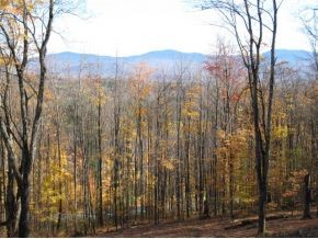 1240 Wade Pasture Road Stowe, VT 05672 - Photo 10 of 19 Gallery Image 10