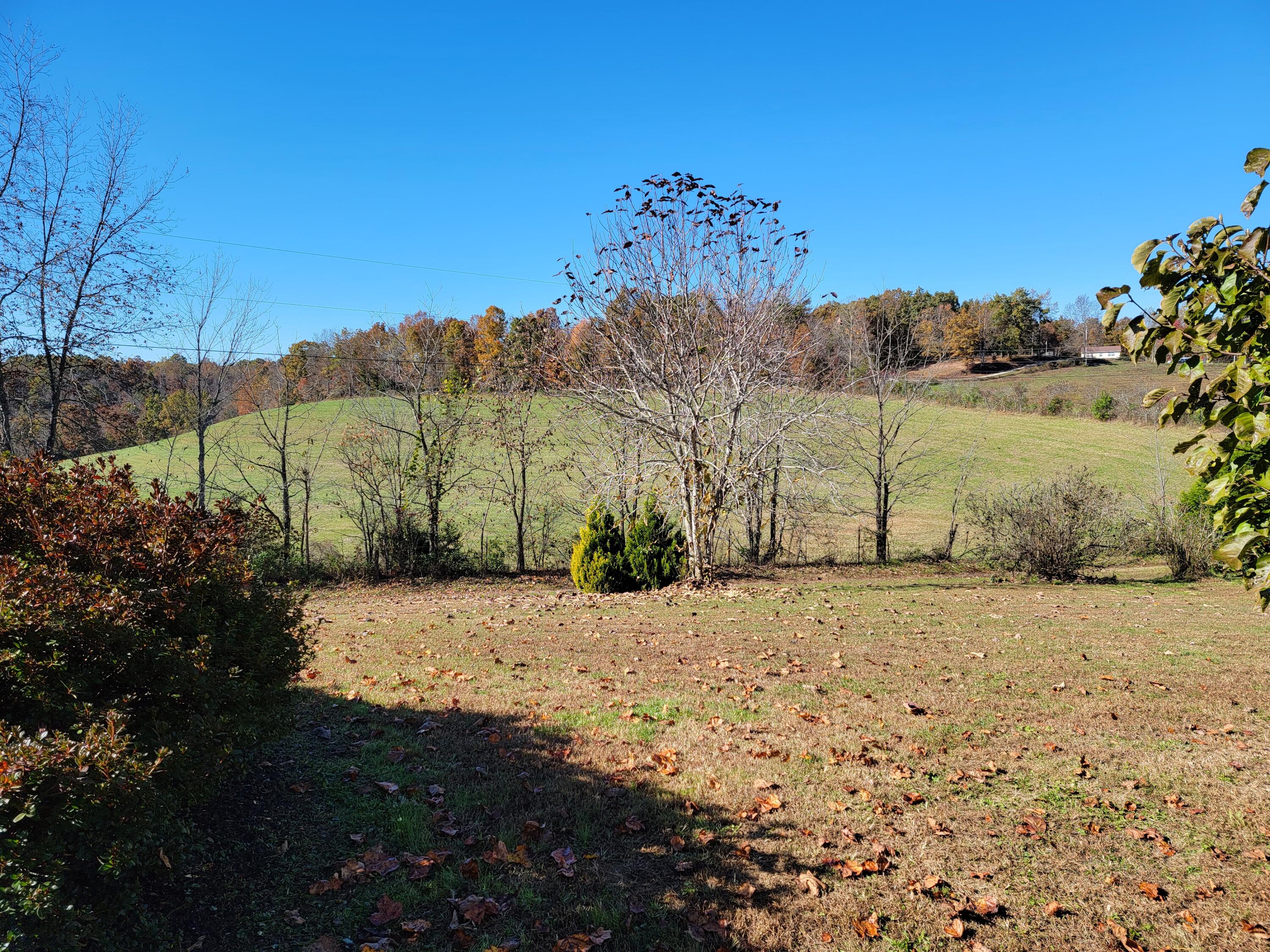 863 McDaniel Ridge Olive Hill, KY 41164 - Photo 36 of 41 20211106_124704