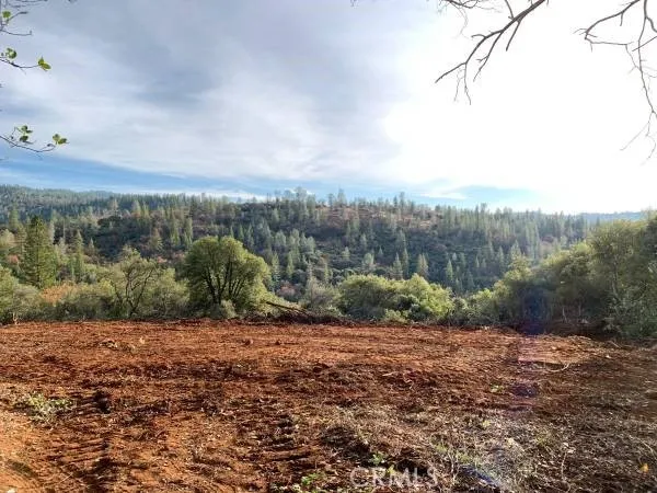 a view of a dry yard with trees