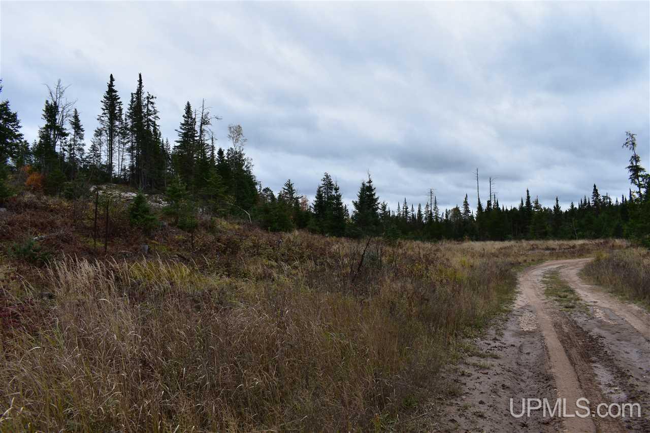 40-acres 40-acres Off Co Road Gwinn, MI 49841 - Photo 10 of 22