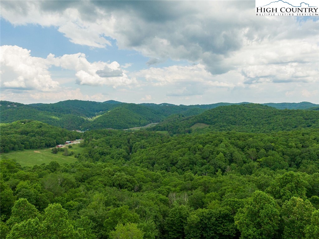 253 Alpine Road Blowing Rock, NC 28605 - Photo 34 of 50 Gallery Image 34