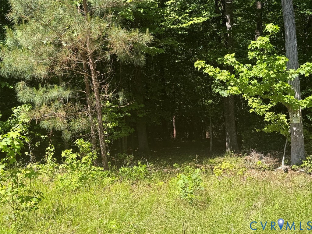Tbd Cooks Mill Road Lanexa, VA 23089 - Photo 12 of 26