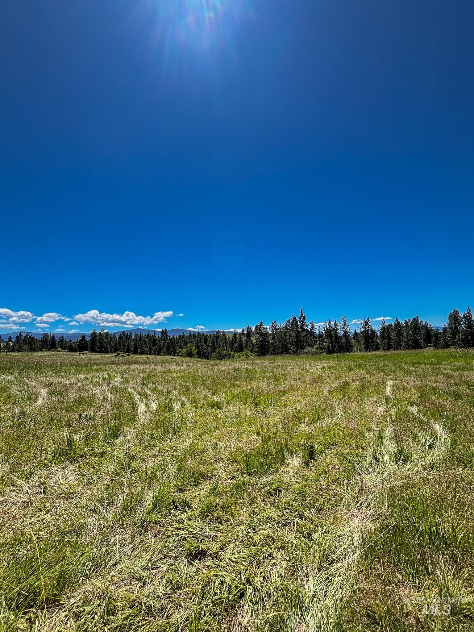 180 Williams Road Kooskia, ID 83539 - Photo 1 of 10
