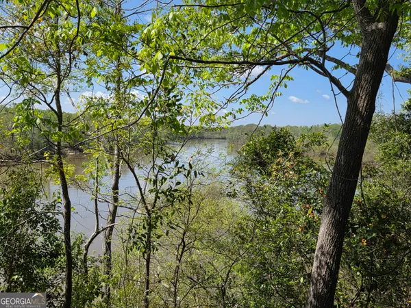 $169,900 | 674 McNatt Falls Road, Uvalda, GA 30473