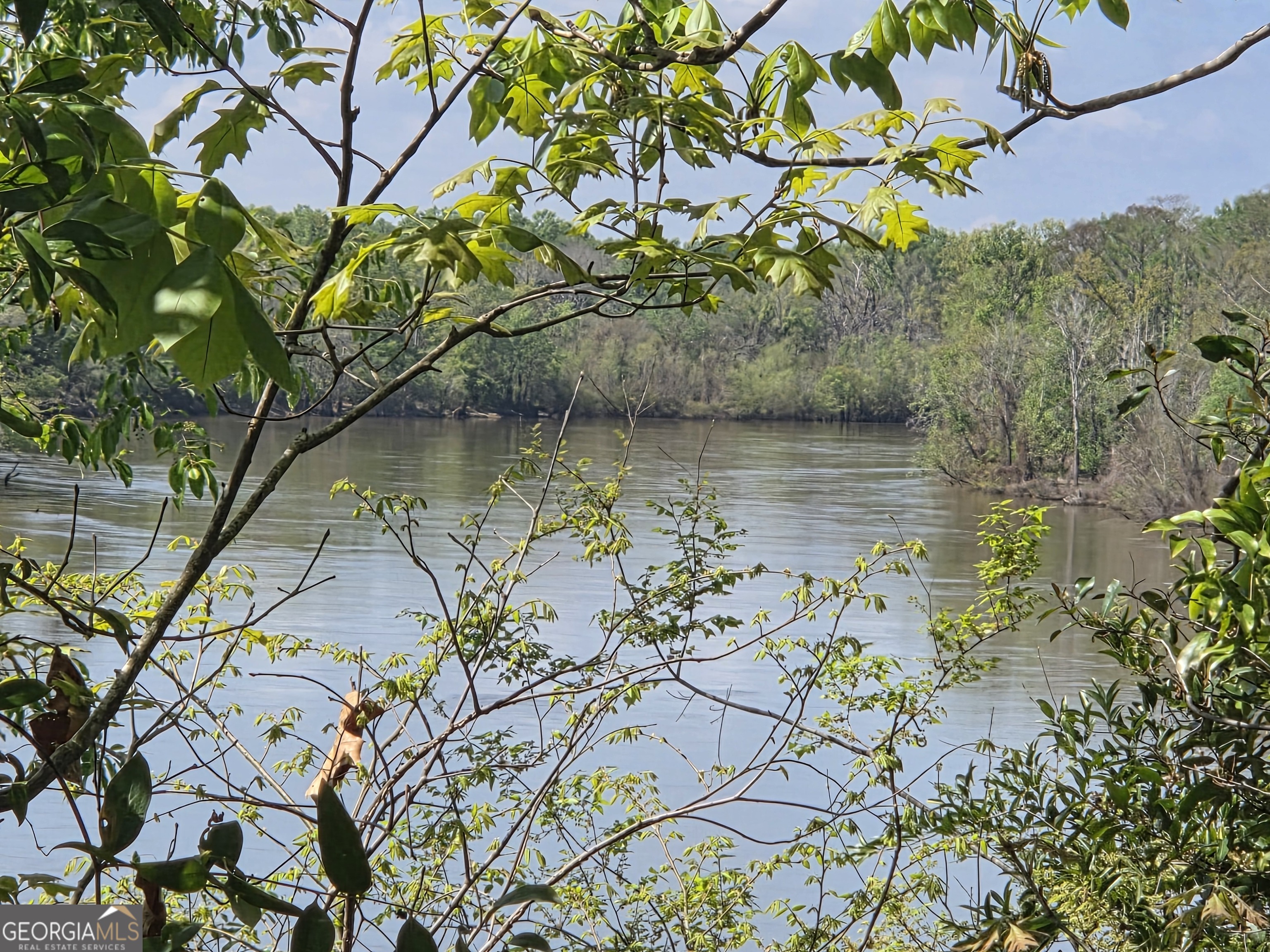 674 McNatt Falls Road Uvalda, GA 30473 - Photo 6 of 58 a view of a lake with a tree