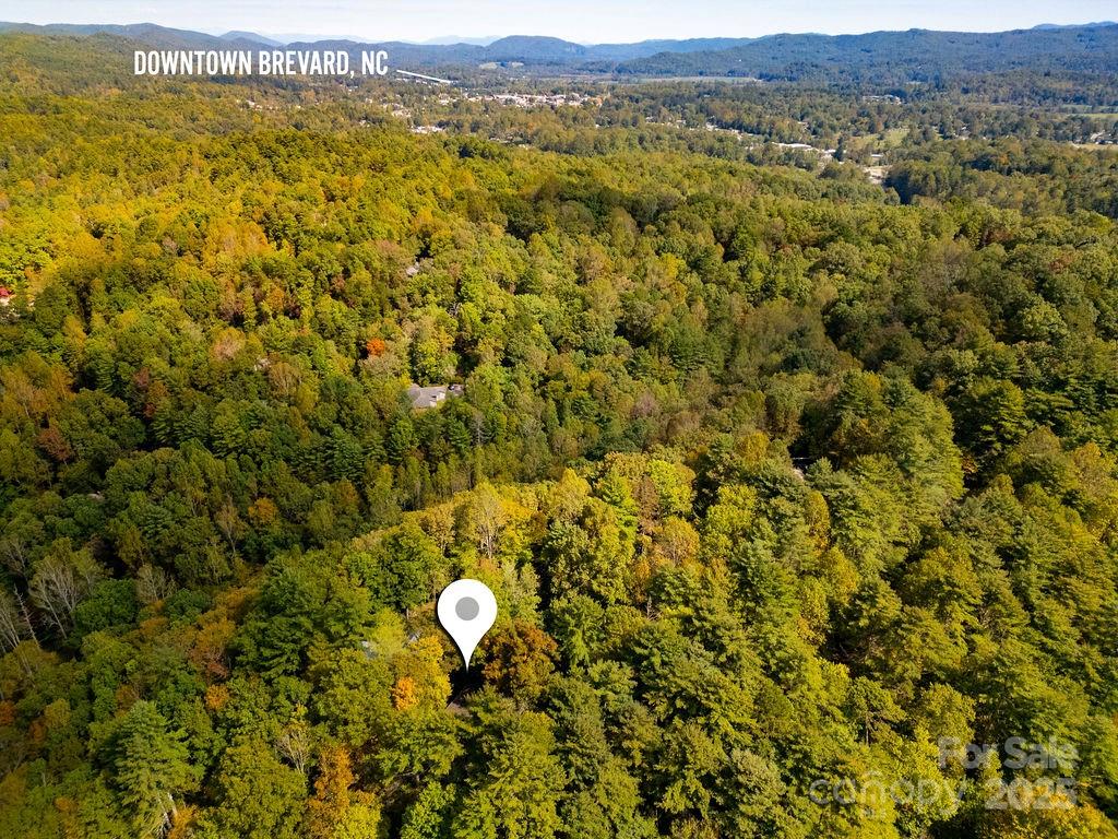 109 Rocky Hill Overlook Road Brevard, NC 28712 - Photo 39 of 41 a view of a field with a sink
