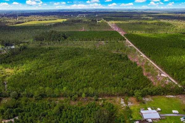 a view of a lush green forest with lots of trees
