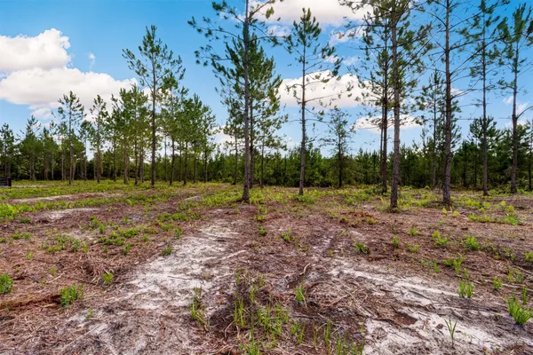 $195,000 | Lot 7 Georgia Street, Hilliard, FL 32046