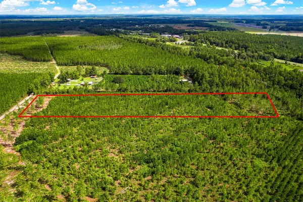 a view of a garden with a building
