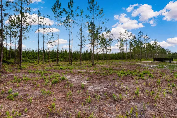 a view of a lake from a yard