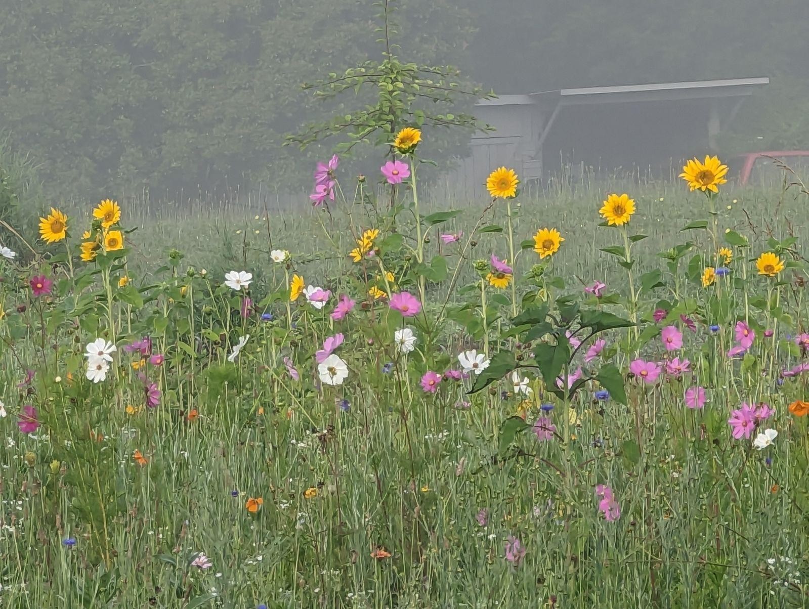 222 Waterfall Road Sequatchie, TN 37374 - Photo 19 of 34 Gallery Image 19