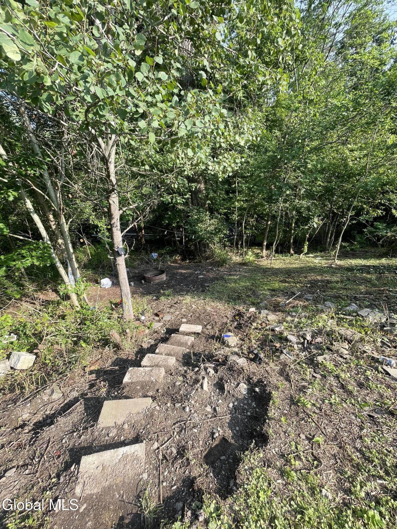 1449 Huntersland Road Middleburgh, NY 12122 - Photo 34 of 44 IMG_6704