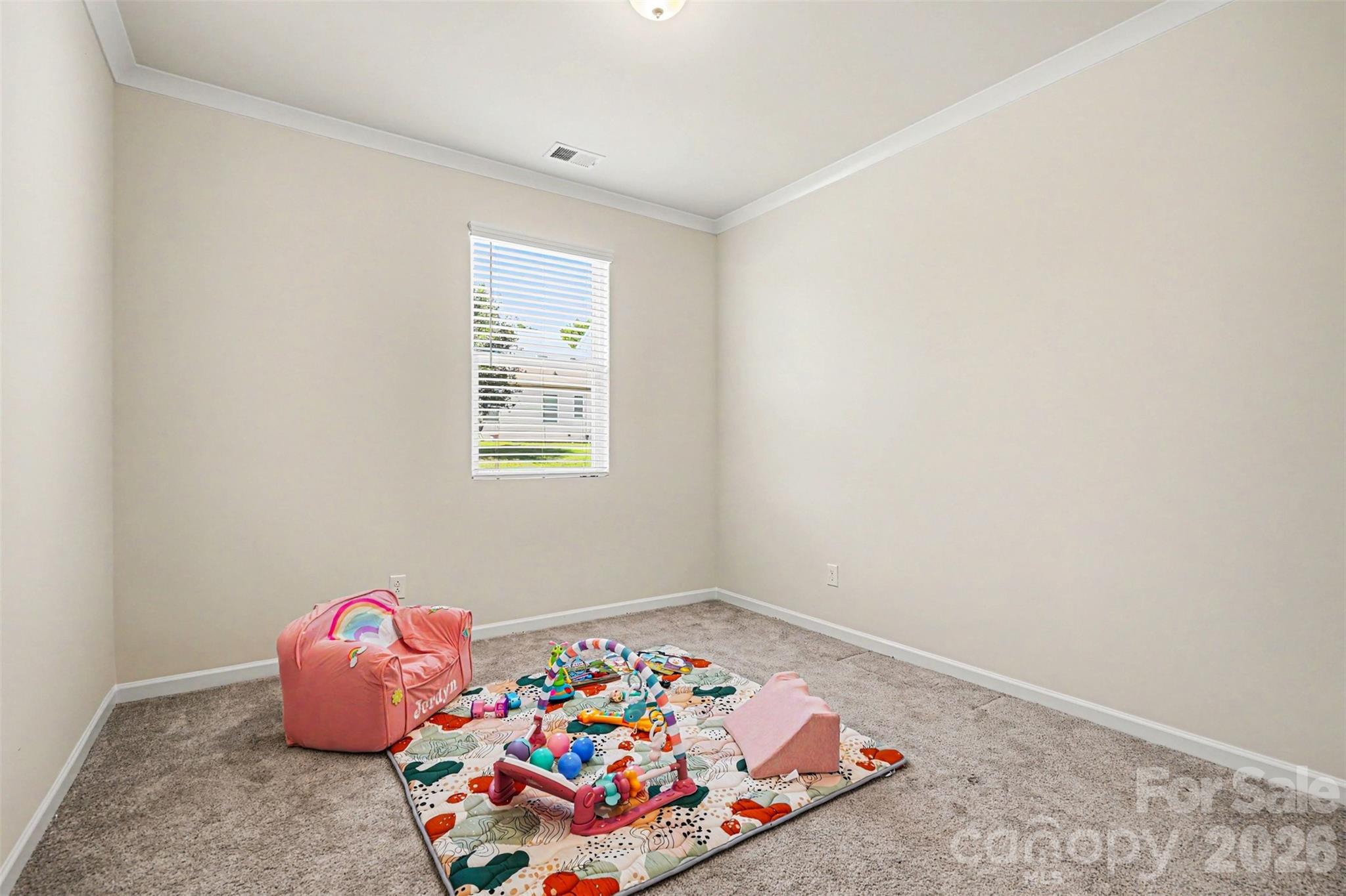 1705 Bailey Ridge Drive York, SC 29745 - Photo 24 of 33