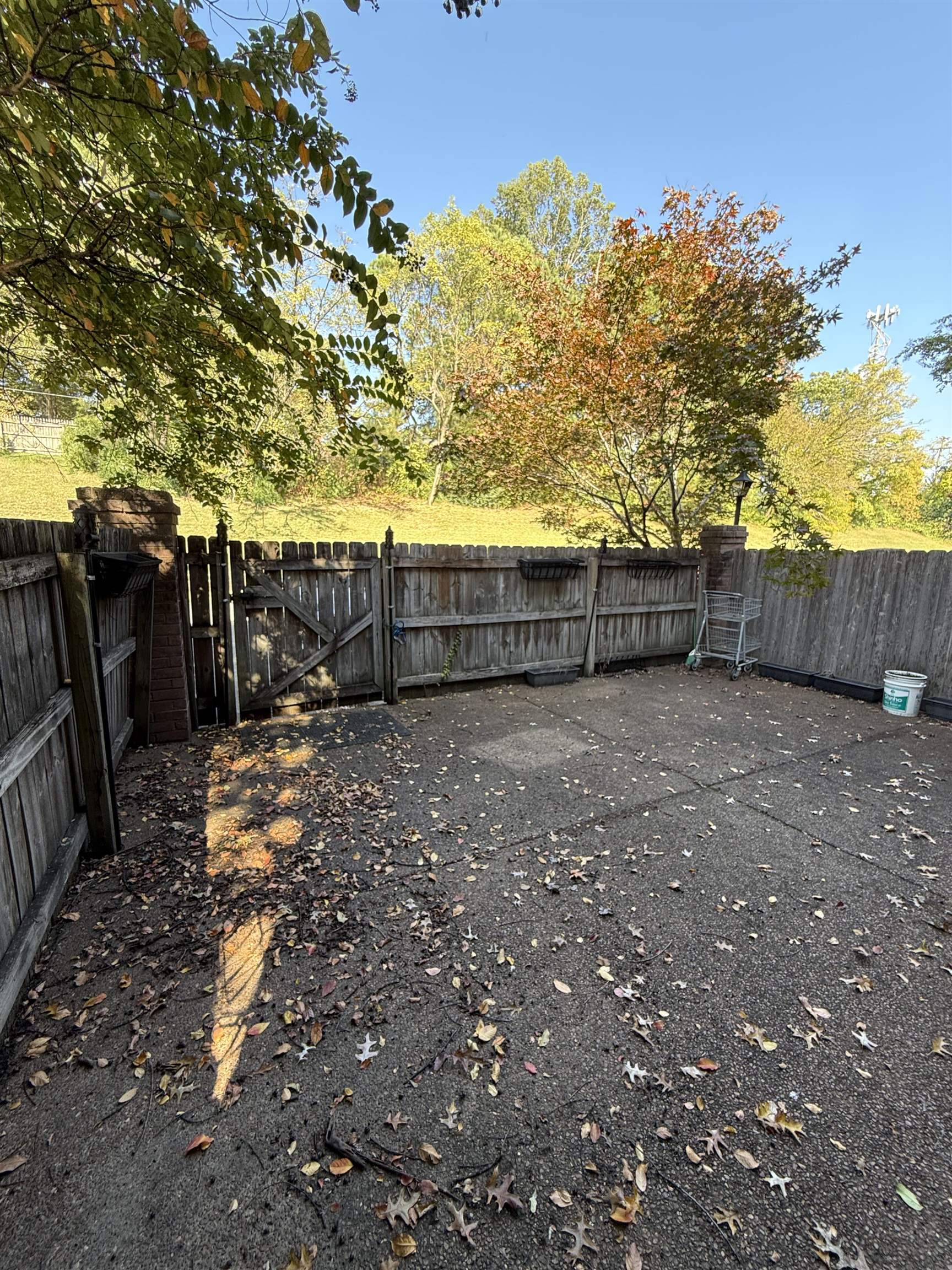 5718 Quince Road, Unit 1 Memphis, TN 38119 - Photo 17 of 17 a view of backyard with trees