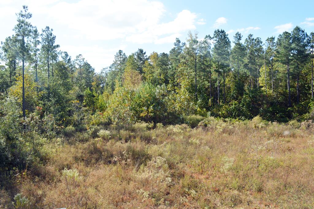 0 Greenhouse Road Gordon, AL 36343 - Photo 17 of 38