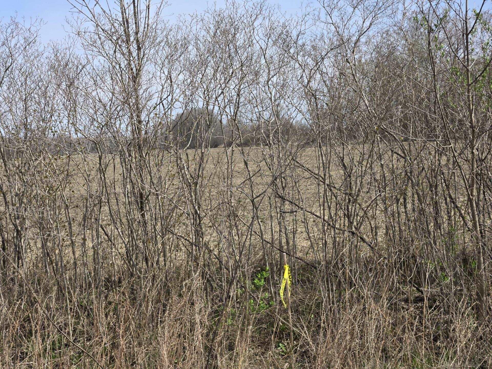 0 Weber (lot B) Road Columbus, MI 48063 - Photo 12 of 14