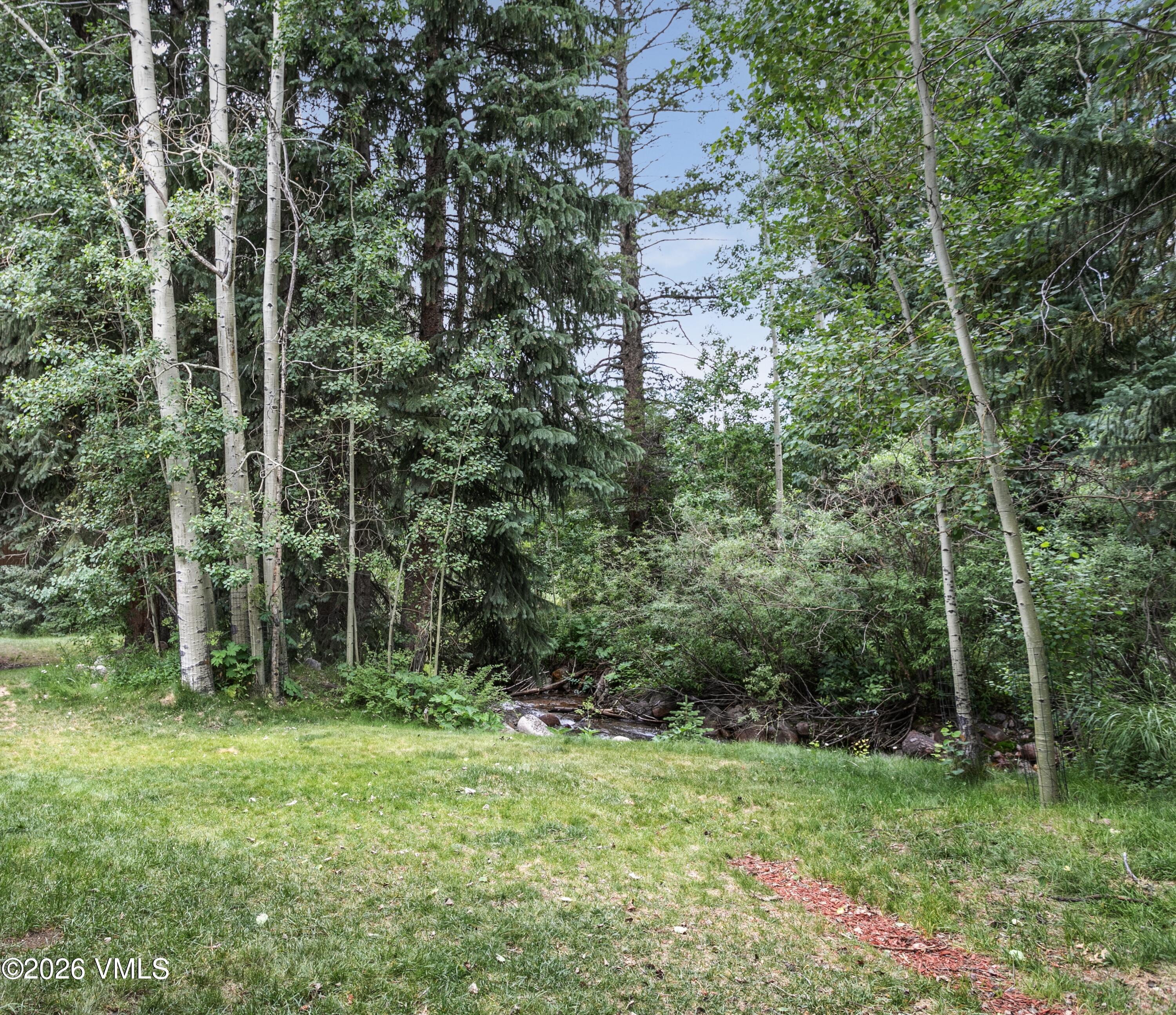 3911 Big Horn Road, Unit 1B Vail, CO 81657 - Photo 20 of 29 a view of a lush green forest