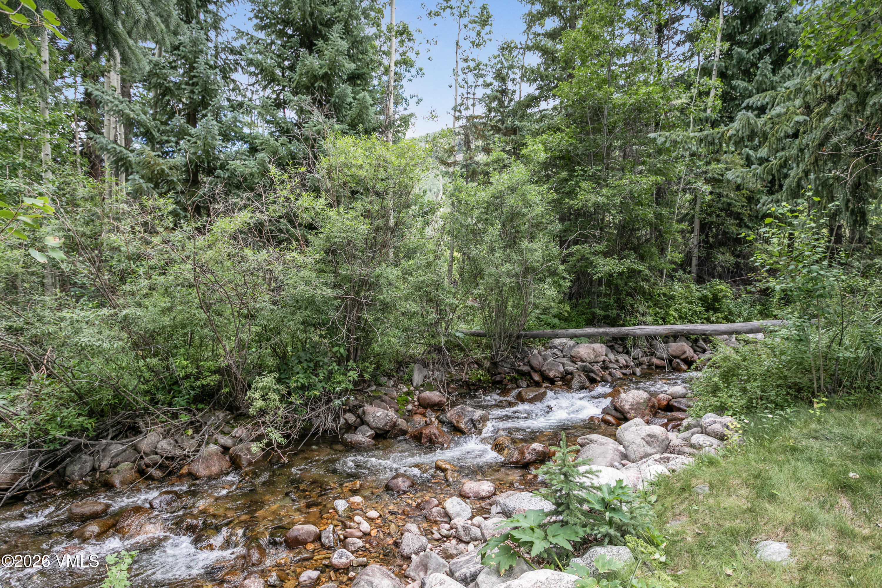 3911 Big Horn Road, Unit 1B Vail, CO 81657 - Photo 21 of 29 a view of a forest with trees