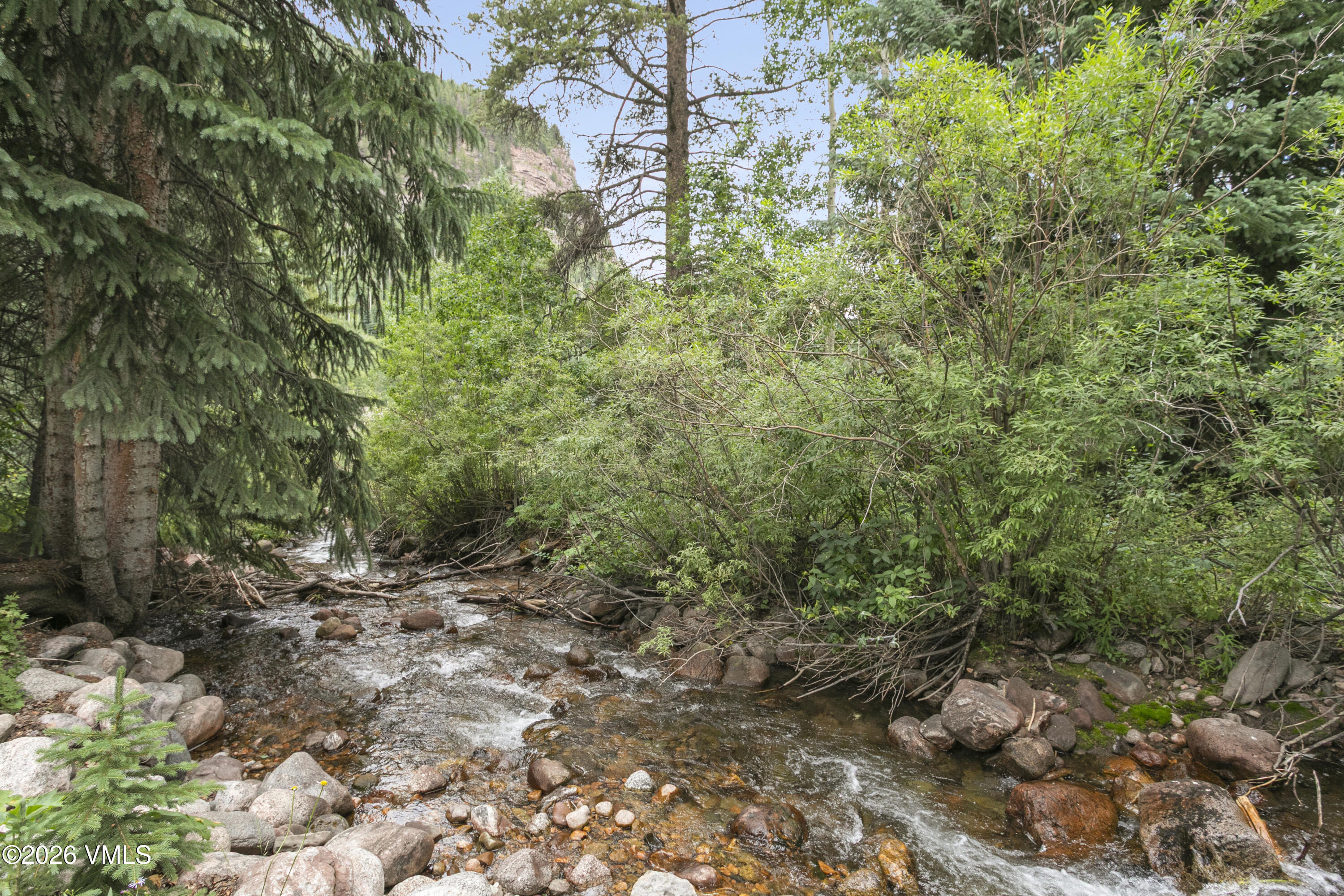 3911 Big Horn Road, Unit 1B Vail, CO 81657 - Photo 22 of 29 a view of a forest with trees