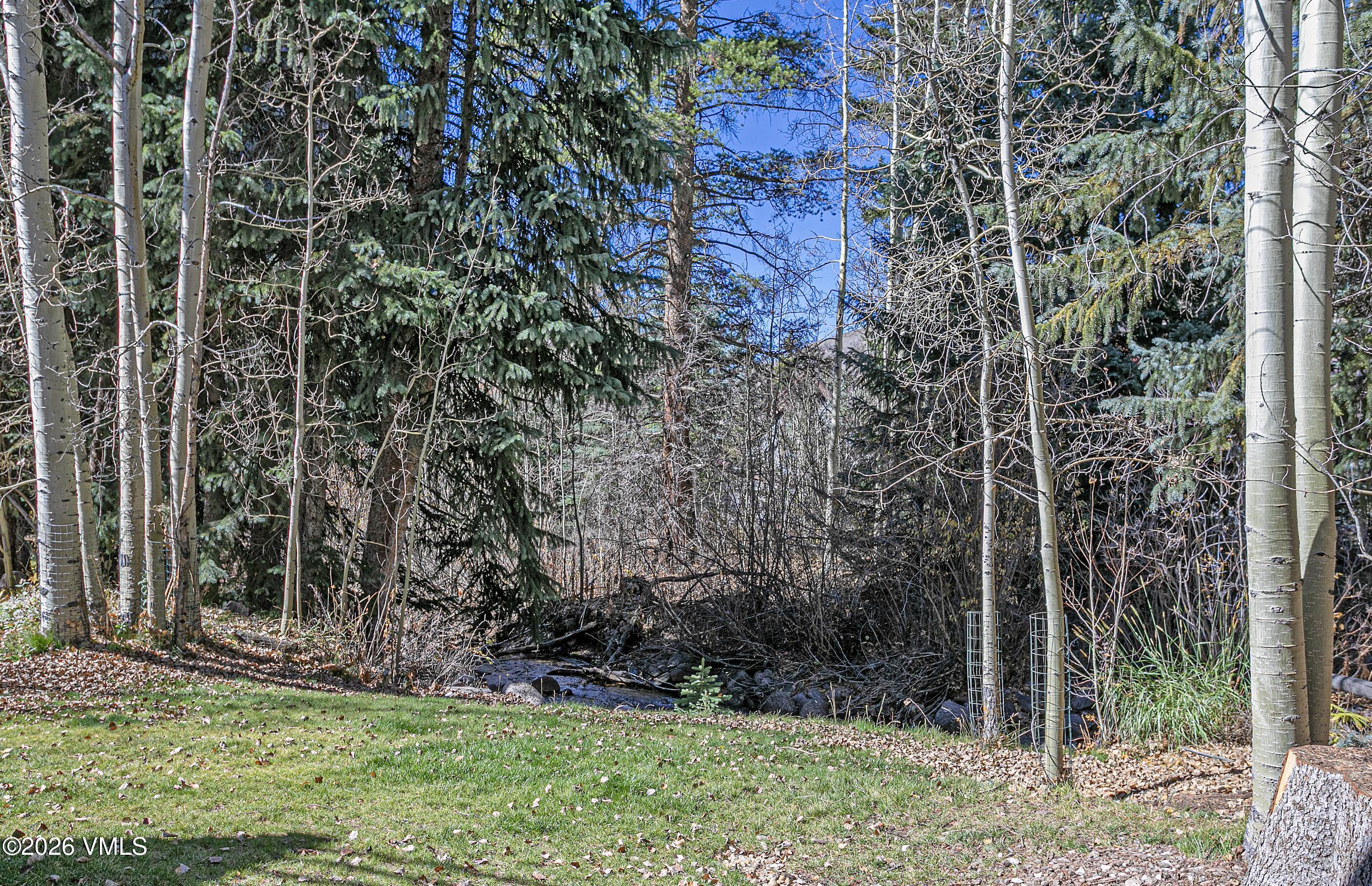 3911 Big Horn Road, Unit 1B Vail, CO 81657 - Photo 27 of 29 a view of a backyard with pathway