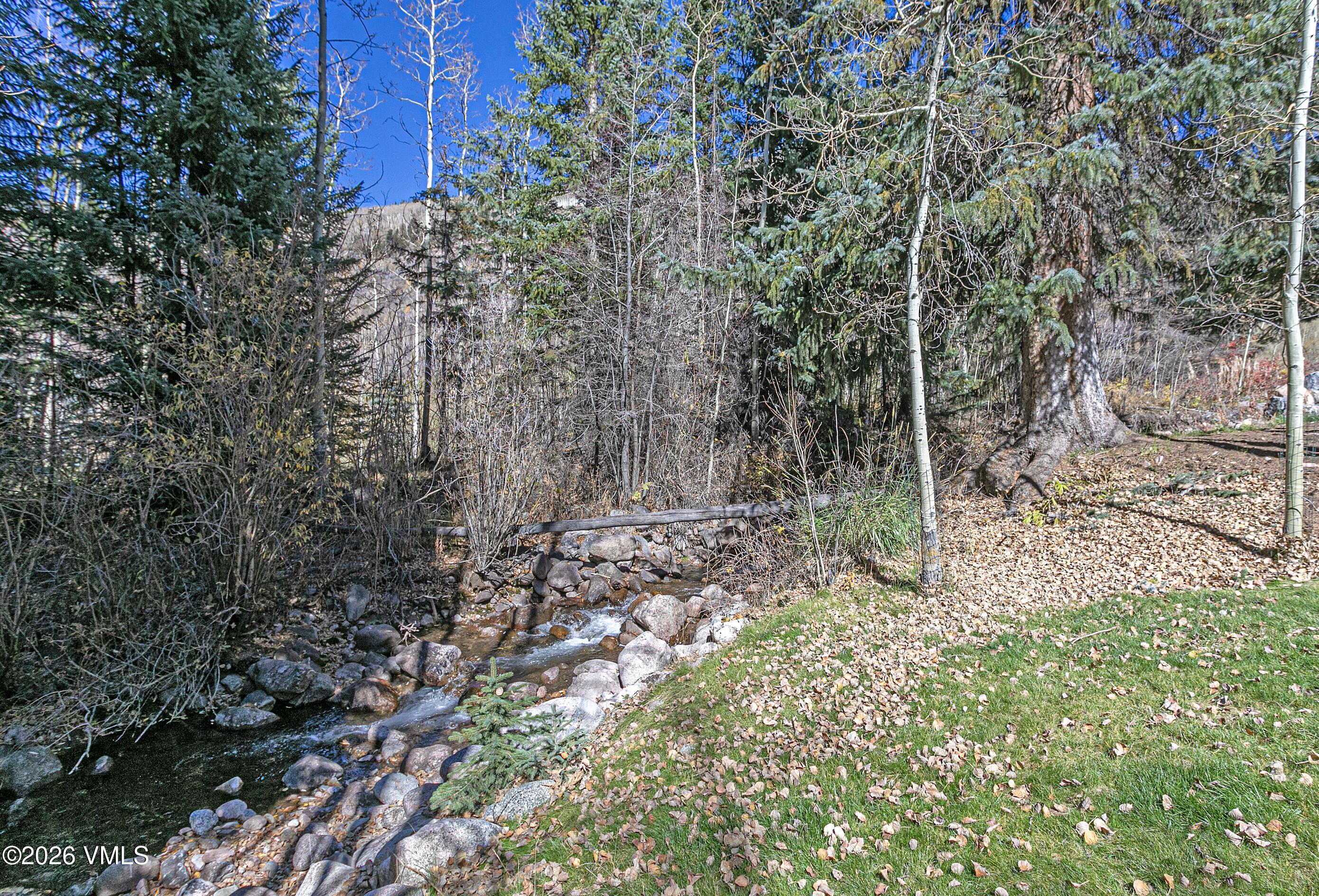 3911 Big Horn Road, Unit 1B Vail, CO 81657 - Photo 28 of 29 a view of a forest with trees