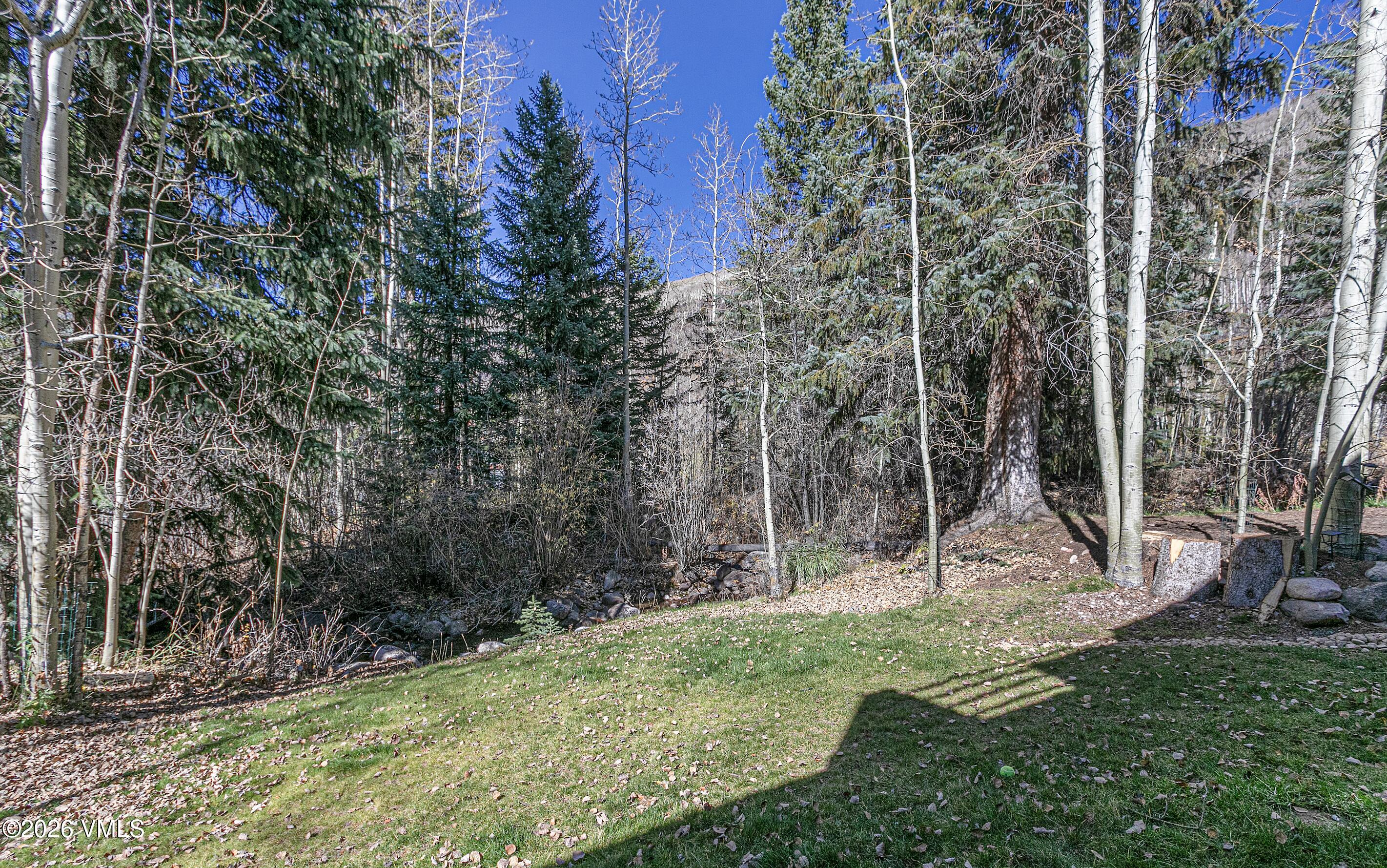 3911 Big Horn Road, Unit 1B Vail, CO 81657 - Photo 29 of 29 a view of a backyard