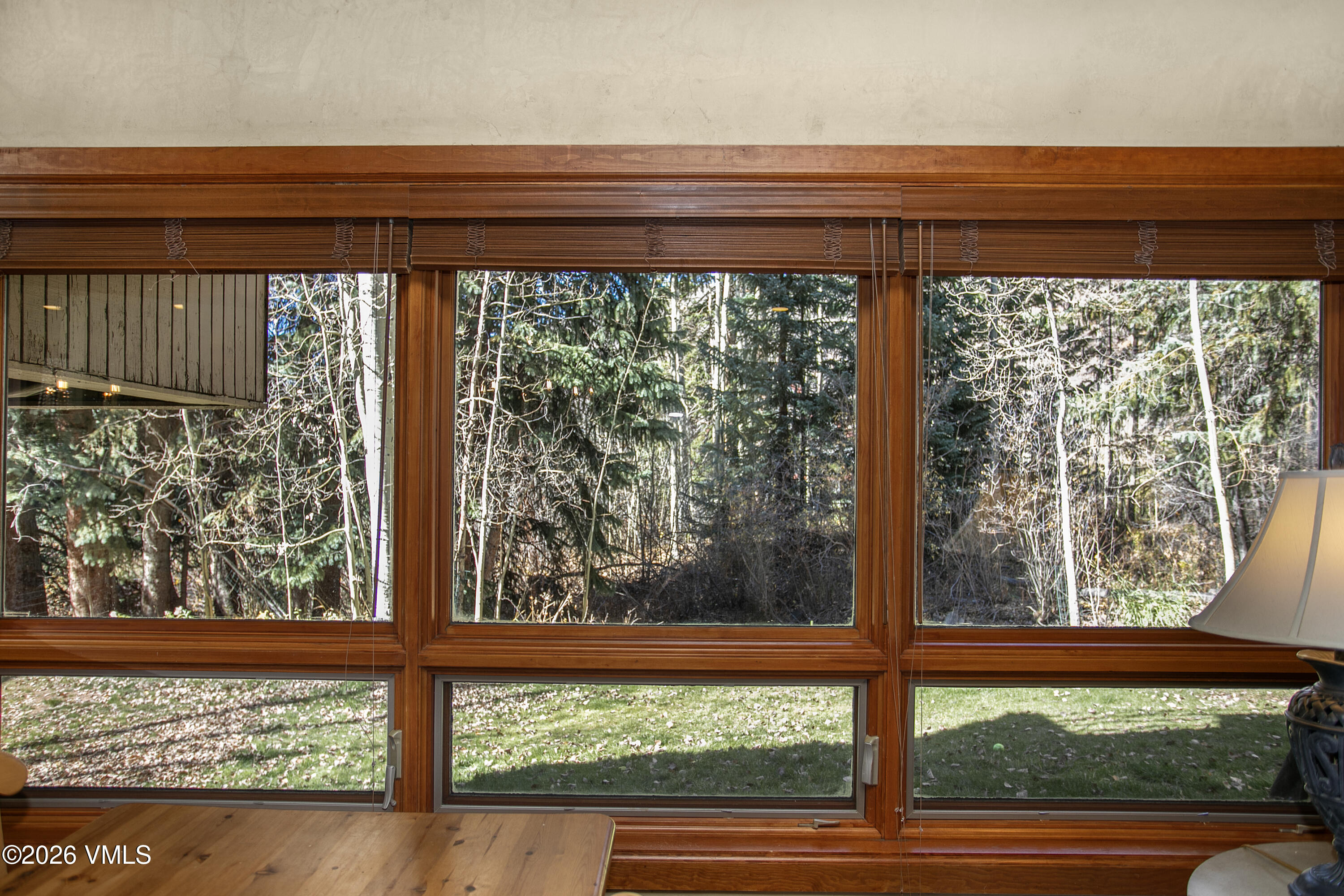 3911 Big Horn Road, Unit 1B Vail, CO 81657 - Photo 9 of 29 a view of a small yard from a window