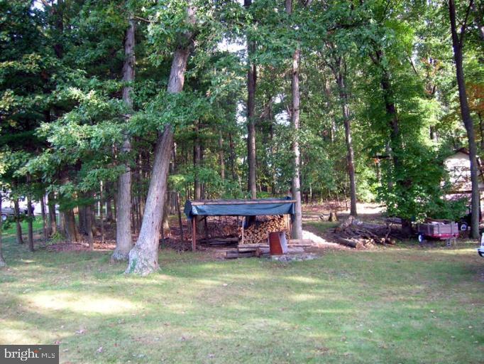 6201 Quinn Road Frederick, MD 21701 - Photo 1 of 1 Back yard