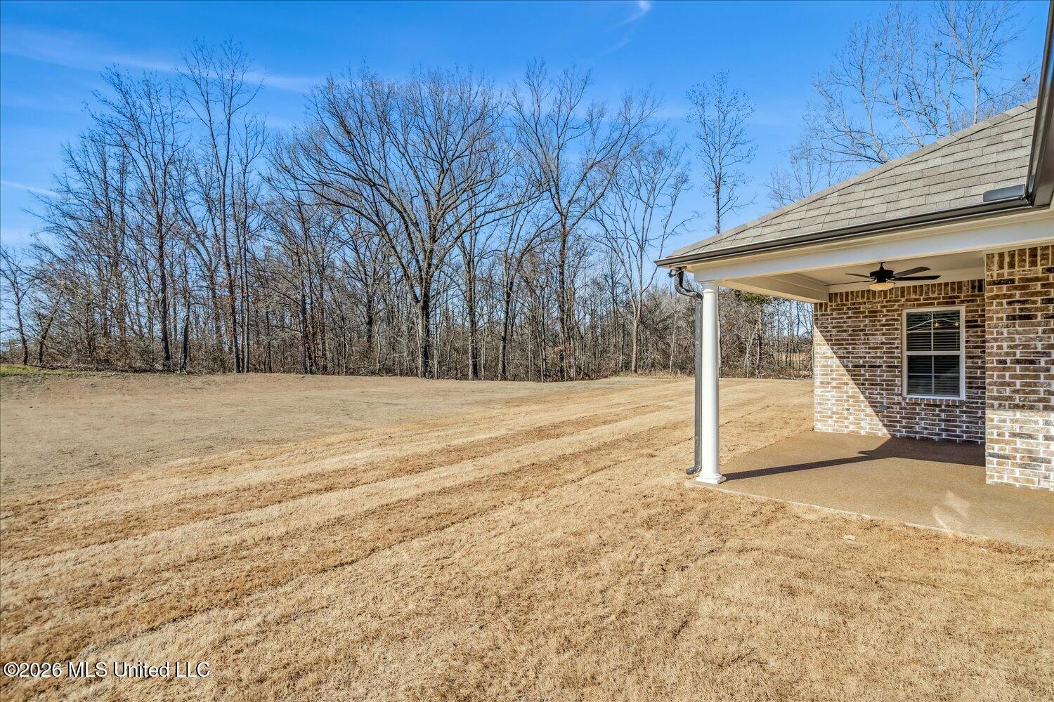 2033 Gracie Road Hernando, MS 38632 - Photo 38 of 42 back of house4 (1)