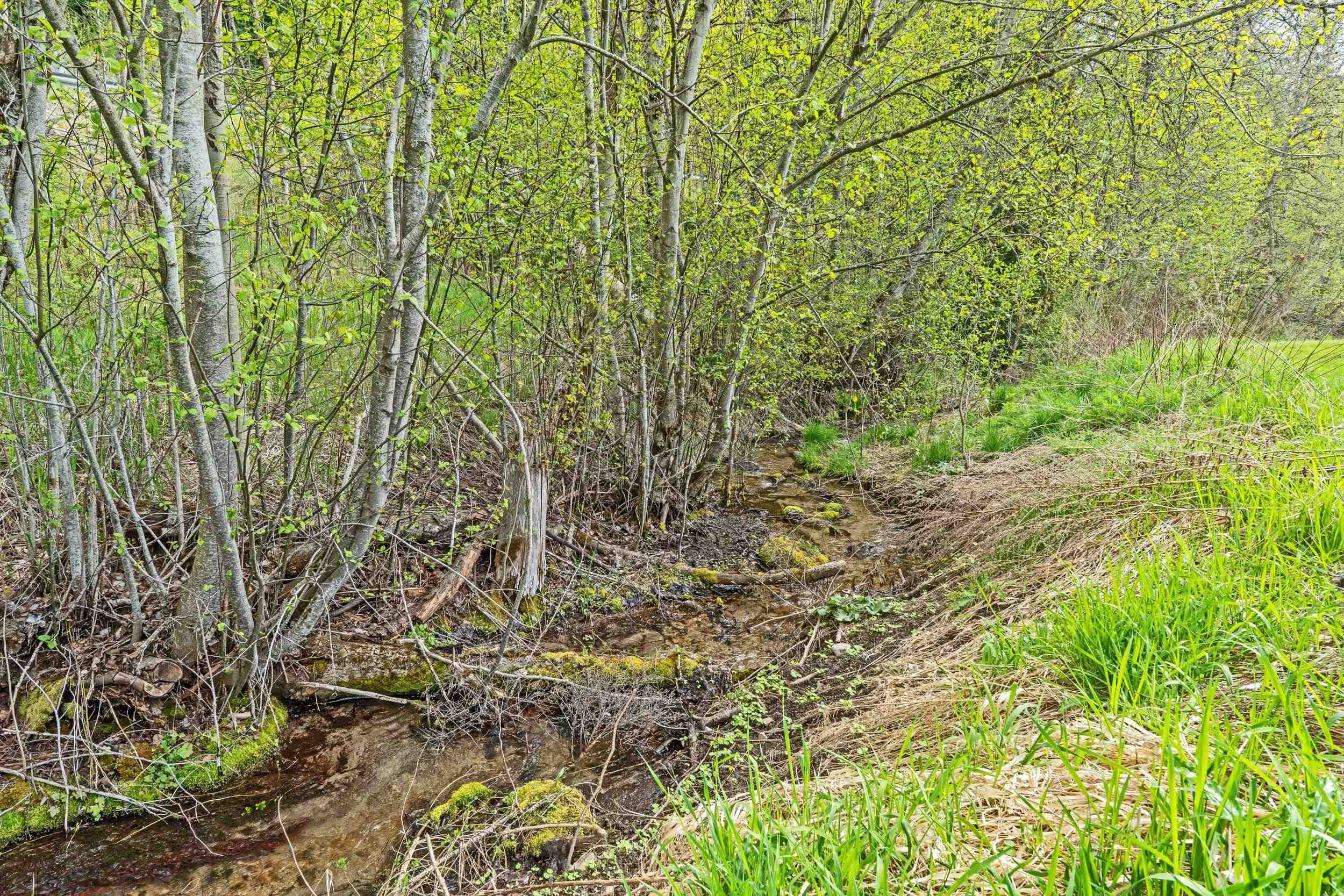 2551 Flowery Trail Road Chewelah, WA 99109 - Photo 3 of 35