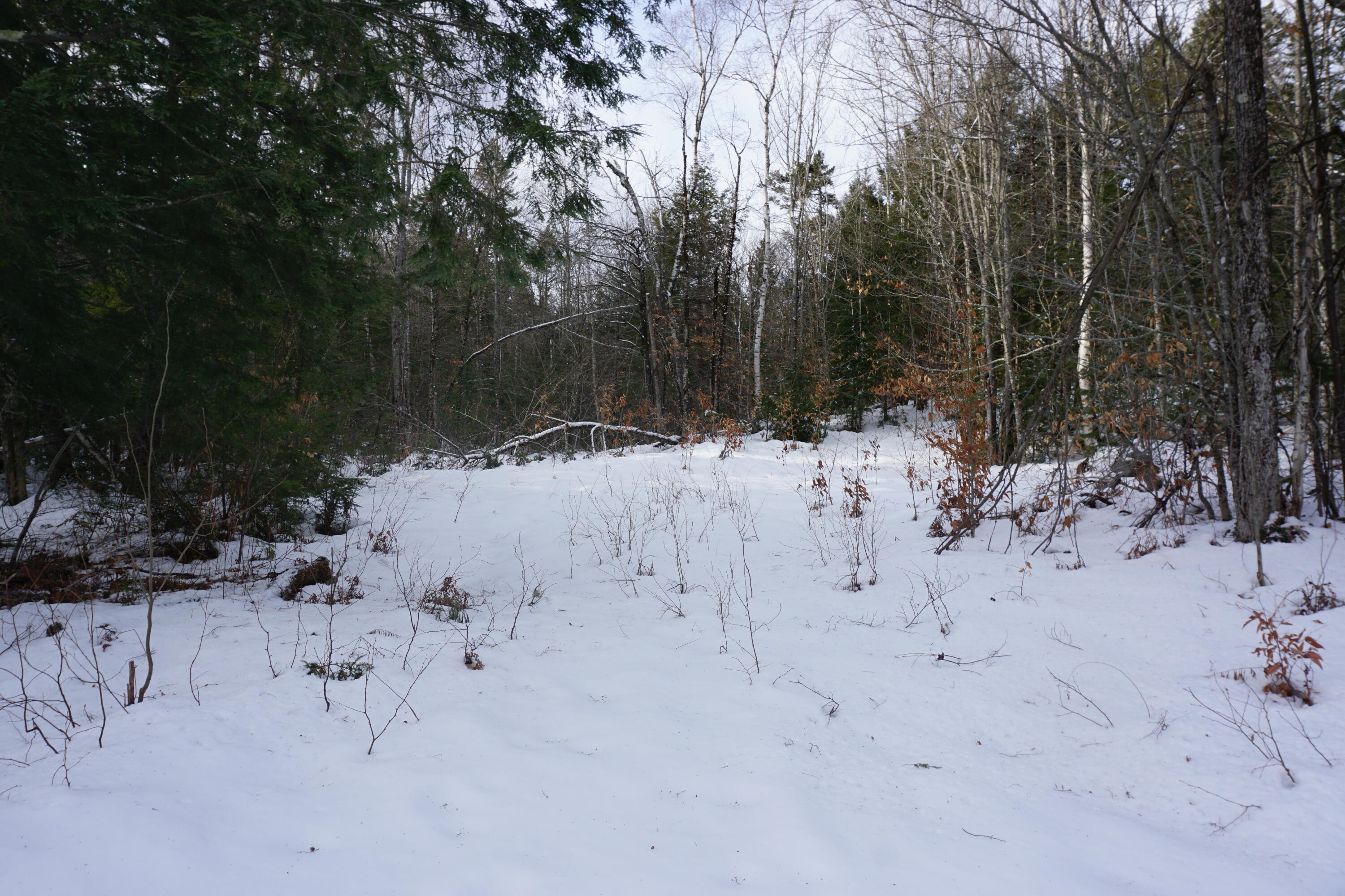 1 Redding Road Sumner, ME 04292 - Photo 8 of 21