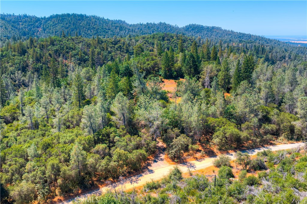 0 Swedes Flat Road Bangor, CA 95914 - Photo 28 of 37