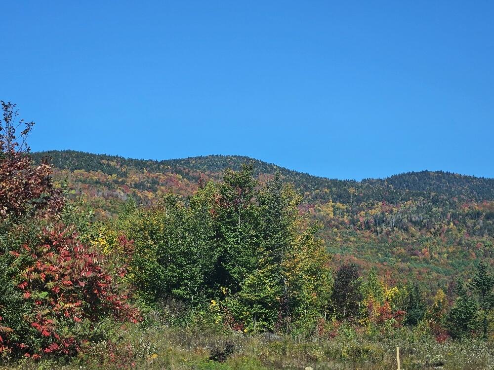 Lot 9 East Moose Alley Road Temple, ME 04984 - Photo 33 of 46