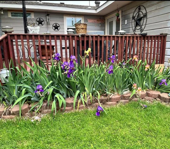 a bunch of flowers in front of building