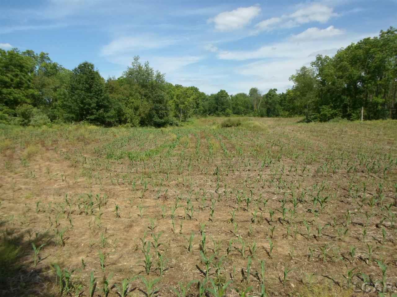 12000 Stephenson Road, Unit PARCEL A Brooklyn, MI 49230 - Photo 34 of 49