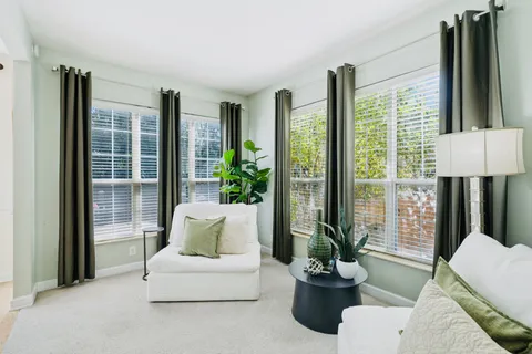 a living room with furniture and a potted plant