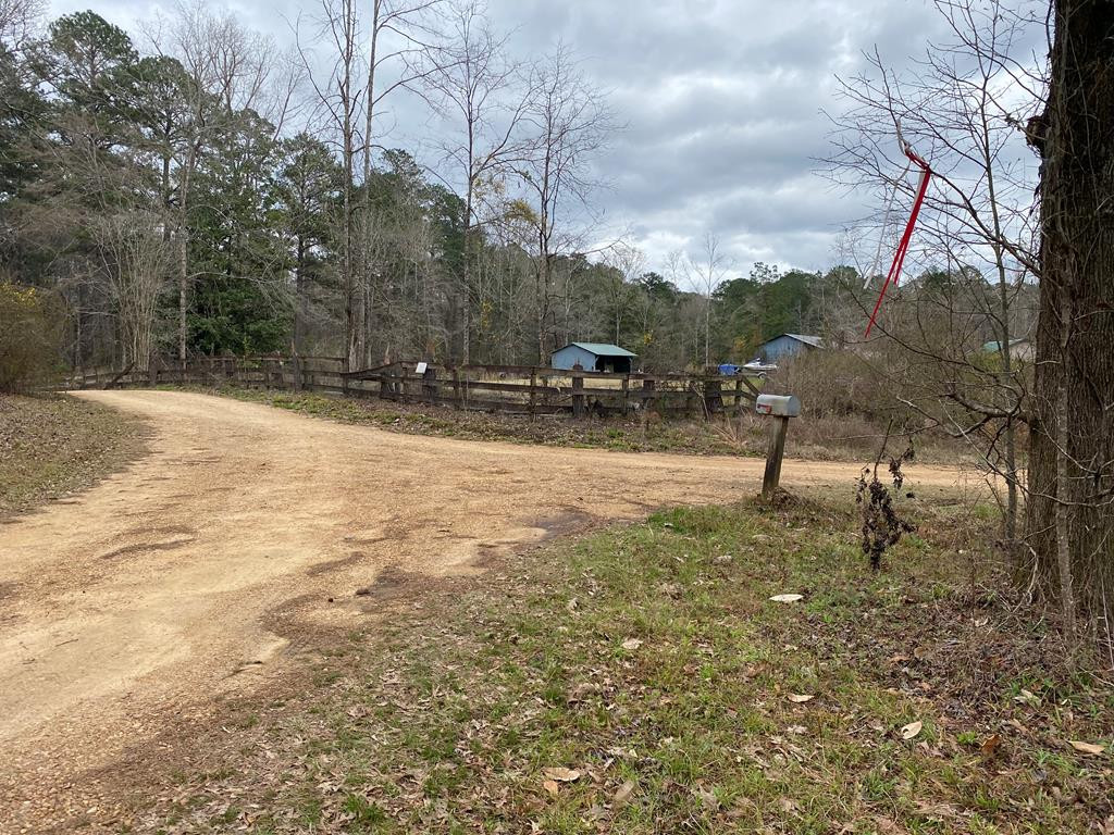 Tbd Garden City Road Roxie, MS 39661 - Photo 1 of 11 Main View