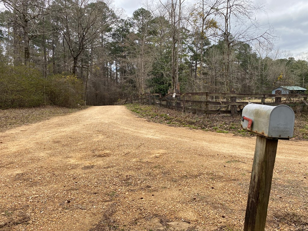 Tbd Garden City Road Roxie, MS 39661 - Photo 3 of 11 Photo 3
