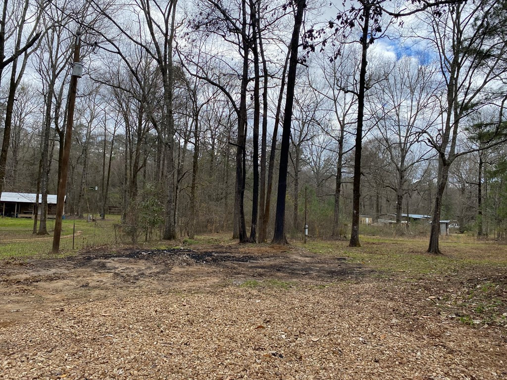 Tbd Garden City Road Roxie, MS 39661 - Photo 4 of 11 Photo 4