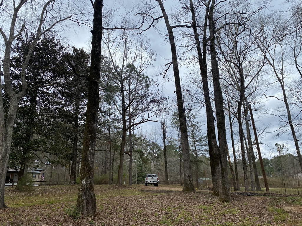 Tbd Garden City Road Roxie, MS 39661 - Photo 5 of 11 Photo 5